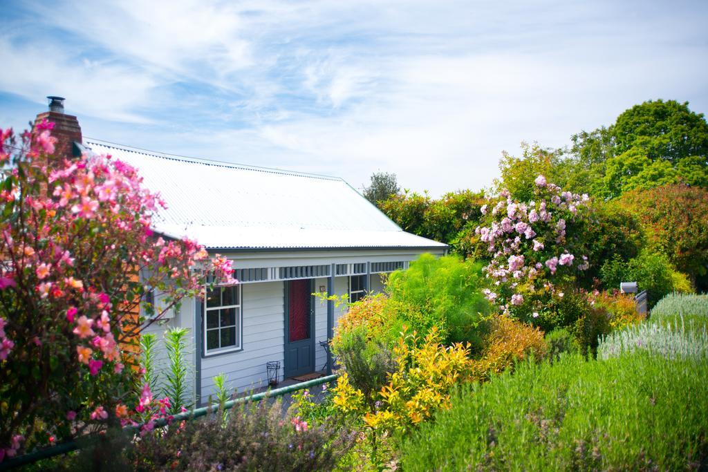 Fortuna Cottage Daylesford Extérieur photo